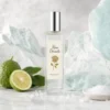Notas de salida del perfume equivalente a Valentino Uomo Born in Roma Green Stravaganza para hombre Notas de salida del perfume equivalente a Valentino Uomo Born in Roma Green Stravaganza para hombre