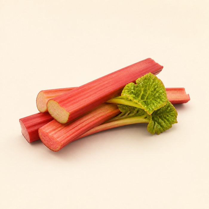 Tallos rojos de ruibarbo para perfumes verdes y afrutados