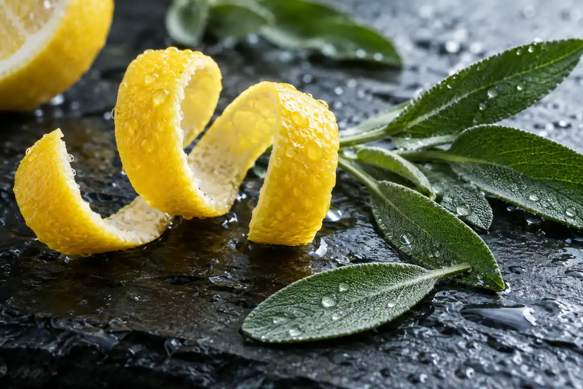 Limón y salvia de la salida de la referencia 100